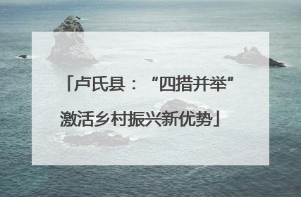卢氏县：“四措并举”激活乡村振兴新优势