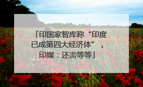 印国家智库称“印度已成第四大经济体”，印媒：还需等等