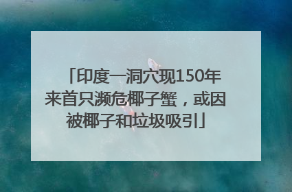 印度一洞穴现150年来首只濒危椰子蟹，或因被椰子和垃圾吸引