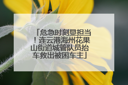 危急时刻显担当！连云港海州花果山街道城管队员抬车救出被困车主