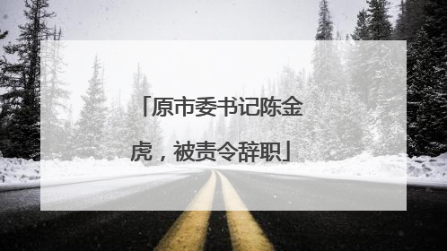 原市委书记陈金虎，被责令辞职