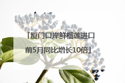 厦门口岸鲜榴莲进口 前5月同比增长10倍