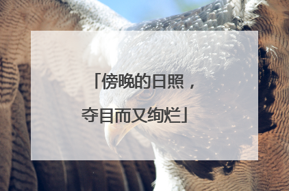 傍晚的日照，夺目而又绚烂