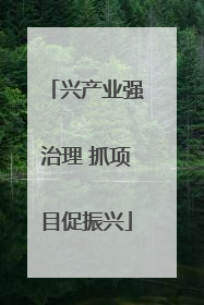 兴产业强治理 抓项目促振兴