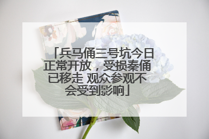 兵马俑三号坑今日正常开放，受损秦俑已移走 观众参观不会受到影响