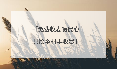 免费收麦暖民心 共绘乡村丰收景