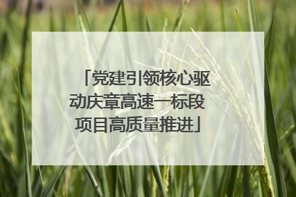 党建引领核心驱动庆章高速一标段项目高质量推进