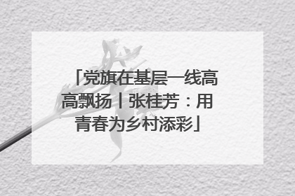 党旗在基层一线高高飘扬丨张桂芳：用青春为乡村添彩