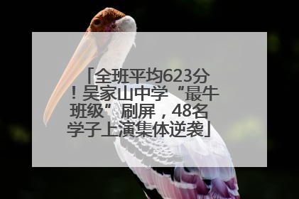 全班平均623分！吴家山中学“最牛班级”刷屏，48名学子上演集体逆袭