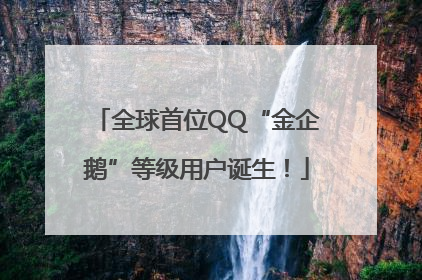 全球首位QQ“金企鹅”等级用户诞生！