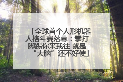 全球首个人形机器人格斗赛落幕：拳打脚踢你来我往 就是“大脑”还不好使