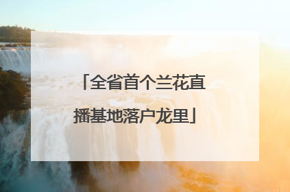 全省首个兰花直播基地落户龙里