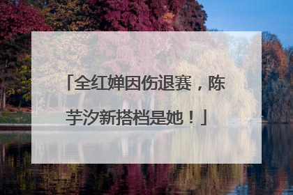 全红婵因伤退赛，陈芋汐新搭档是她！