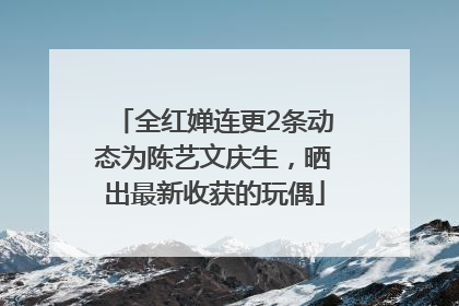 全红婵连更2条动态为陈艺文庆生，晒出最新收获的玩偶