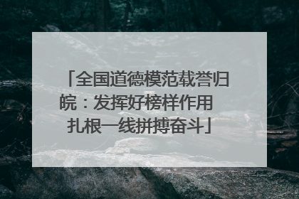 全国道德模范载誉归皖：发挥好榜样作用 扎根一线拼搏奋斗