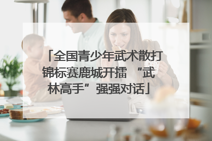 全国青少年武术散打锦标赛鹿城开擂 “武林高手”强强对话