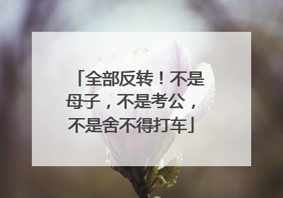 全部反转！不是母子，不是考公，不是舍不得打车