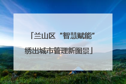 兰山区“智慧赋能”绣出城市管理新图景