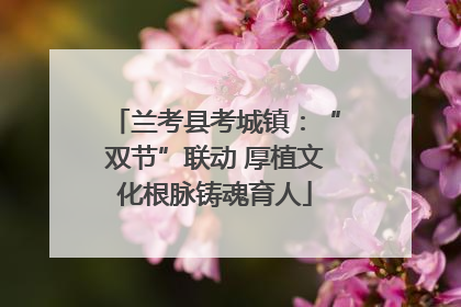 兰考县考城镇：“双节”联动 厚植文化根脉铸魂育人