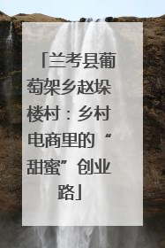 兰考县葡萄架乡赵垛楼村：乡村电商里的“甜蜜”创业路