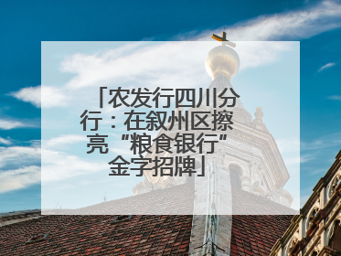 农发行四川分行：在叙州区擦亮“粮食银行”金字招牌