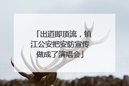 出道即顶流，镇江公安把安防宣传做成了演唱会
