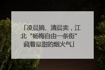 凌晨摘、清晨卖，江北“杨梅自由一条街”藏着最甜的烟火气