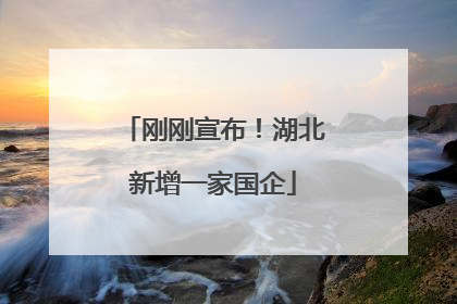 刚刚宣布！湖北新增一家国企