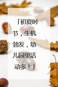 初夏时节，生机勃发，幼儿园里活动多！