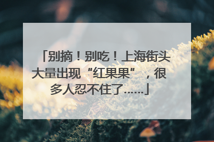 别摘！别吃！上海街头大量出现“红果果”，很多人忍不住了……