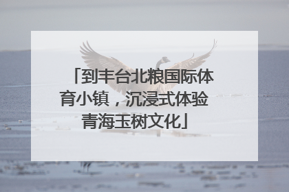 到丰台北粮国际体育小镇，沉浸式体验青海玉树文化