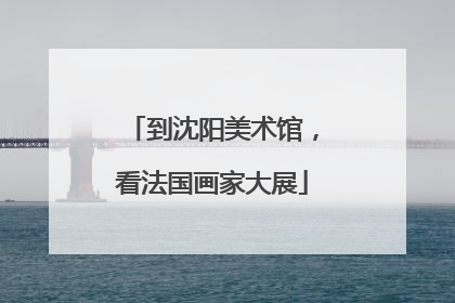 到沈阳美术馆，看法国画家大展