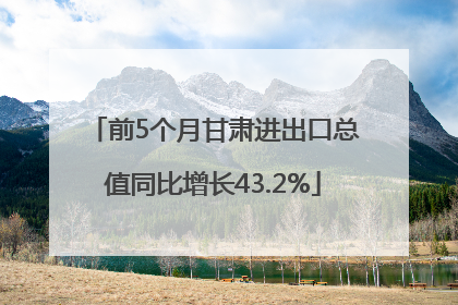 前5个月甘肃进出口总值同比增长43.2%