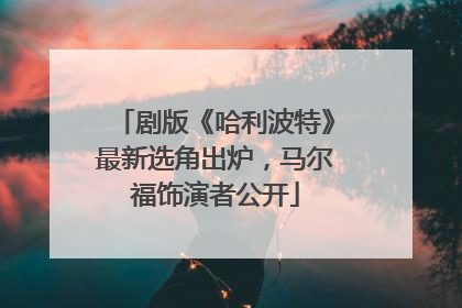 剧版《哈利波特》最新选角出炉，马尔福饰演者公开