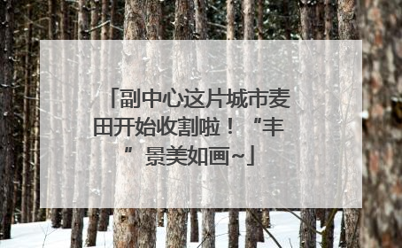 副中心这片城市麦田开始收割啦！“丰”景美如画~