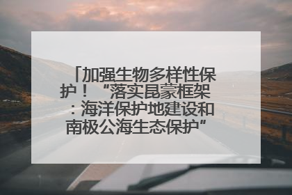加强生物多样性保护！“落实昆蒙框架：海洋保护地建设和南极公海生态保护”主题论坛将举办