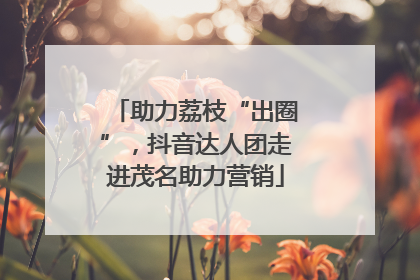 助力荔枝“出圈”，抖音达人团走进茂名助力营销