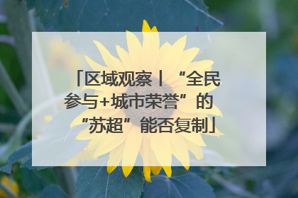 区域观察丨“全民参与+城市荣誉”的“苏超”能否复制