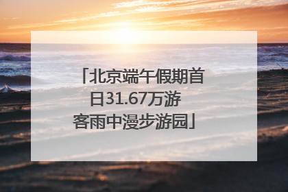 北京端午假期首日31.67万游客雨中漫步游园