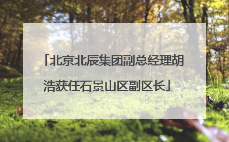 北京北辰集团副总经理胡浩获任石景山区副区长