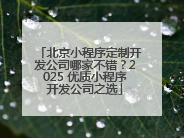 北京小程序定制开发公司哪家不错？2025 优质小程序开发公司之选