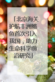 北京海关护航非洲鳉鱼首次引入我国，助力生命科学前沿研究