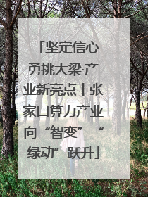 坚定信心 勇挑大梁·产业新亮点丨张家口算力产业向“智变”“绿动”跃升