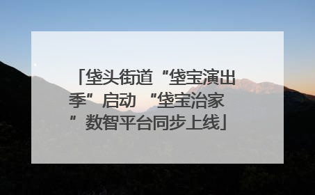垡头街道“垡宝演出季”启动 “垡宝治家”数智平台同步上线