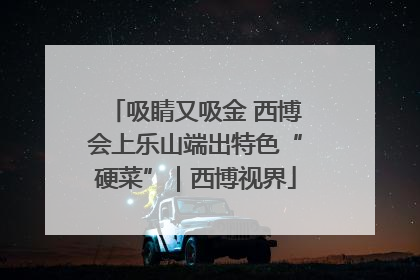 吸睛又吸金 西博会上乐山端出特色“硬菜”｜西博视界