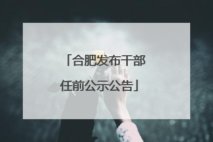 合肥发布干部任前公示公告