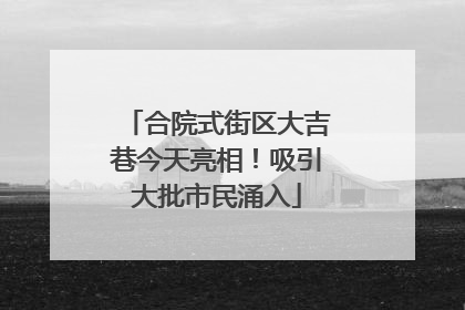 合院式街区大吉巷今天亮相！吸引大批市民涌入