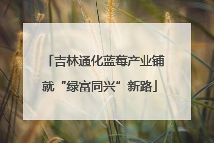 吉林通化蓝莓产业铺就“绿富同兴”新路