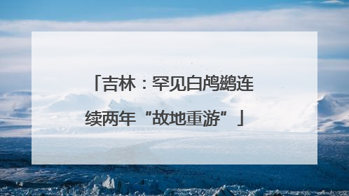 吉林：罕见白鸬鹚连续两年“故地重游”
