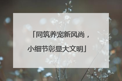同筑养宠新风尚，小细节彰显大文明